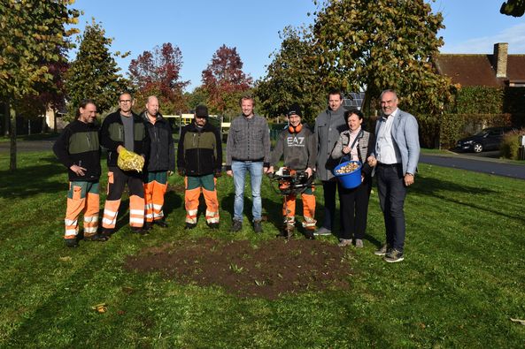 AANPLANTING 14.365 BLOEMBOLLEN IN WIJKEN