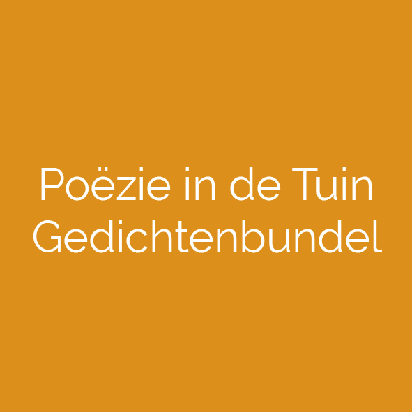 portfolio-item