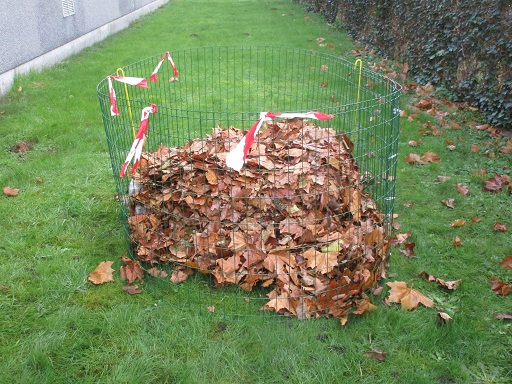 HOU JE STRAAT BLADVRIJ MET EEN BLADKORF