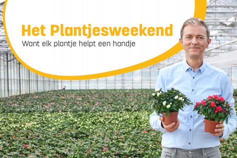 PLANTJESWEEKEND KOM OP TEGEN KANKER - 17 EN 18 SEPTEMBER