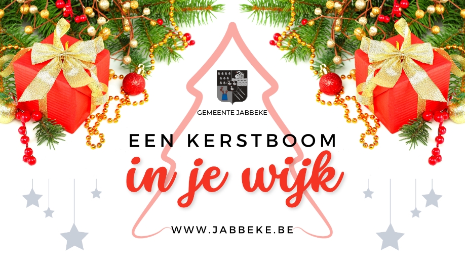 EEN KERSTBOOM IN JE WIJK OF IN JE BUURT