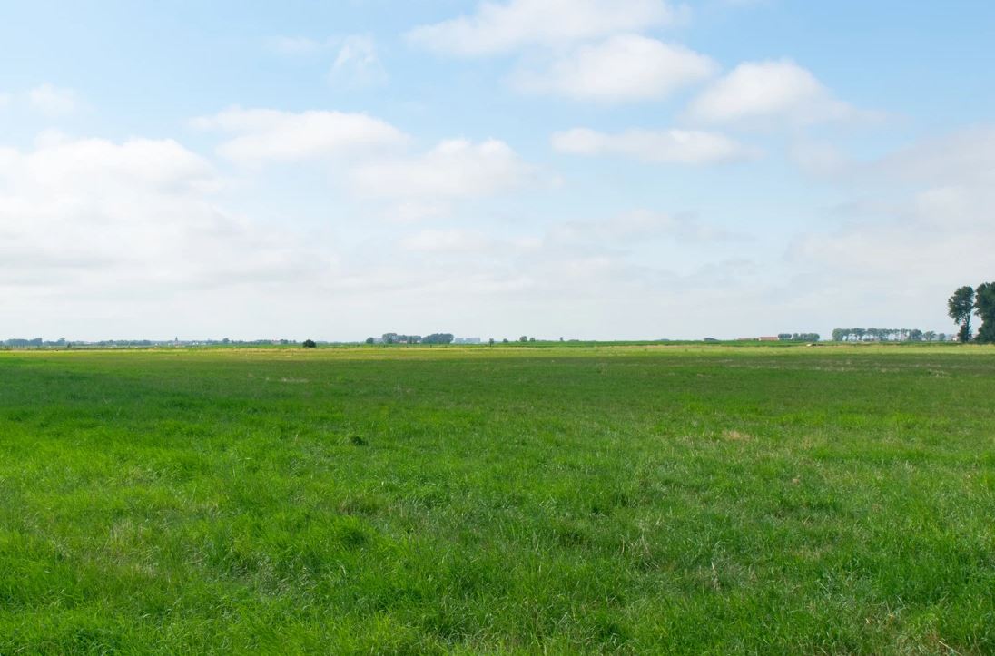 VLM SPROKKELT VERHALEN UIT DE OUDLANDPOLDER