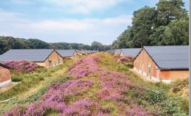 NIEUWE GROENE HALTEWANDELING VERKENT VLOETHEMVELD