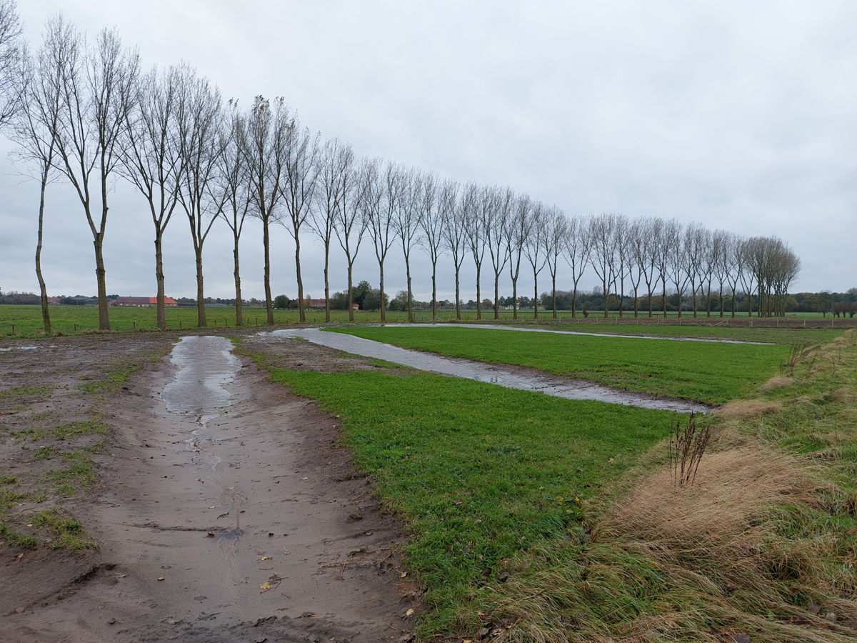 SAMEN VOOR MEER BOS IN VLOETHEMVELD